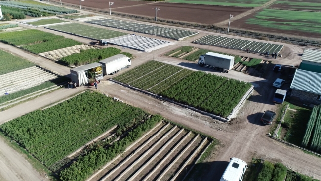 Eskişehir'den 'Geleceğe Nefes Ol' projesine büyük destek